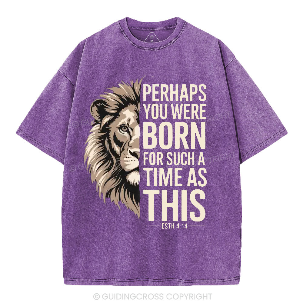 Perhaps You Were Born For Such A Time As This Christian Washed T-Shirt
