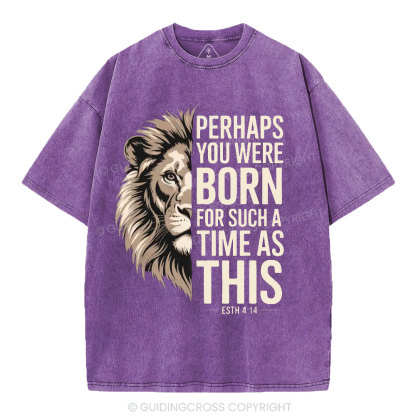 Perhaps You Were Born For Such A Time As This Christian Washed T-Shirt