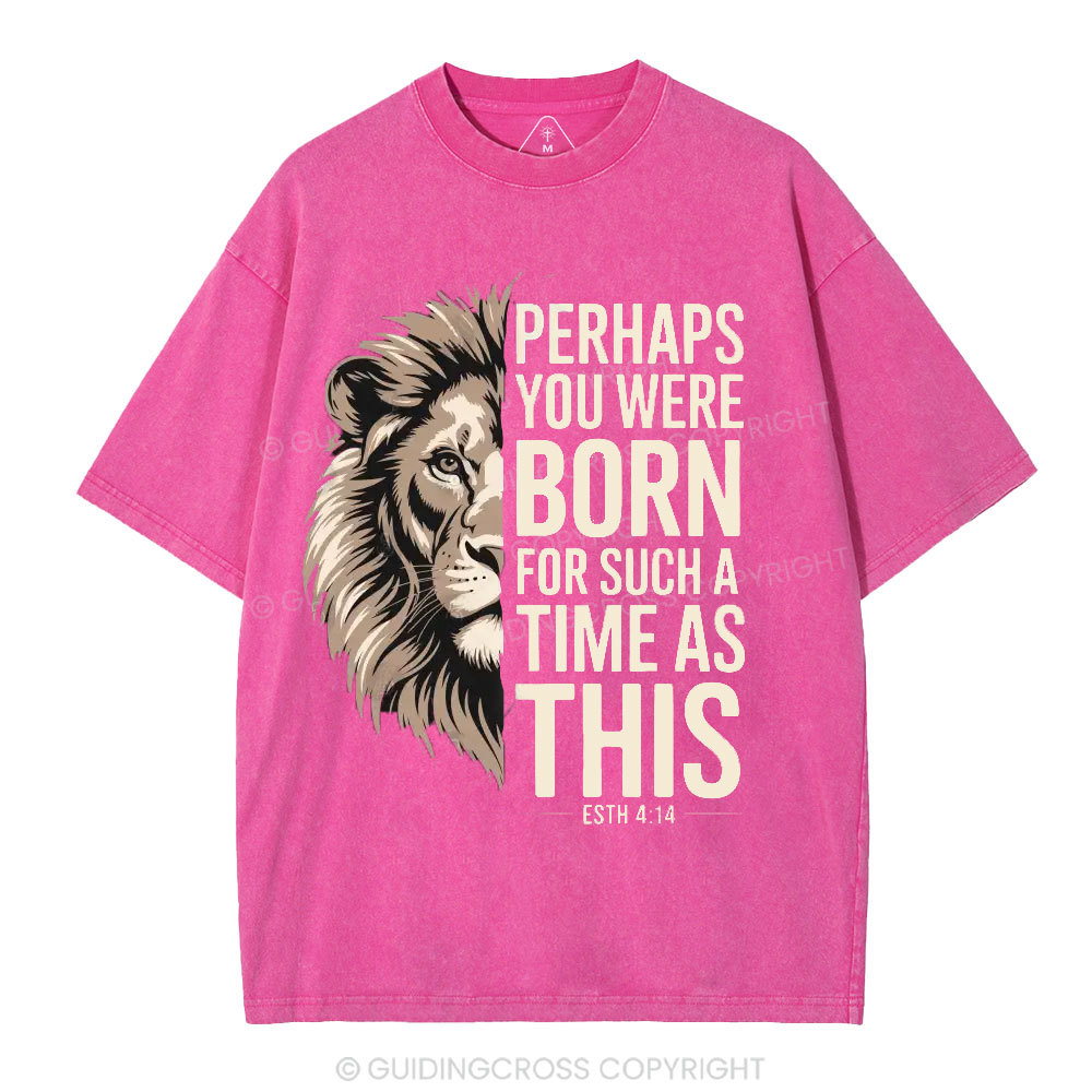 Perhaps You Were Born For Such A Time As This Christian Washed T-Shirt