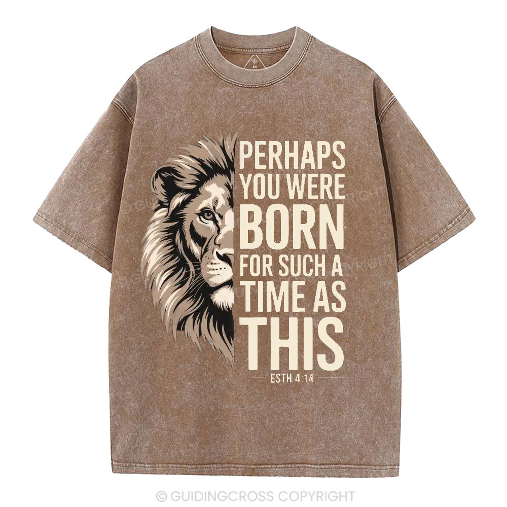 Perhaps You Were Born For Such A Time As This Christian Washed T-Shirt