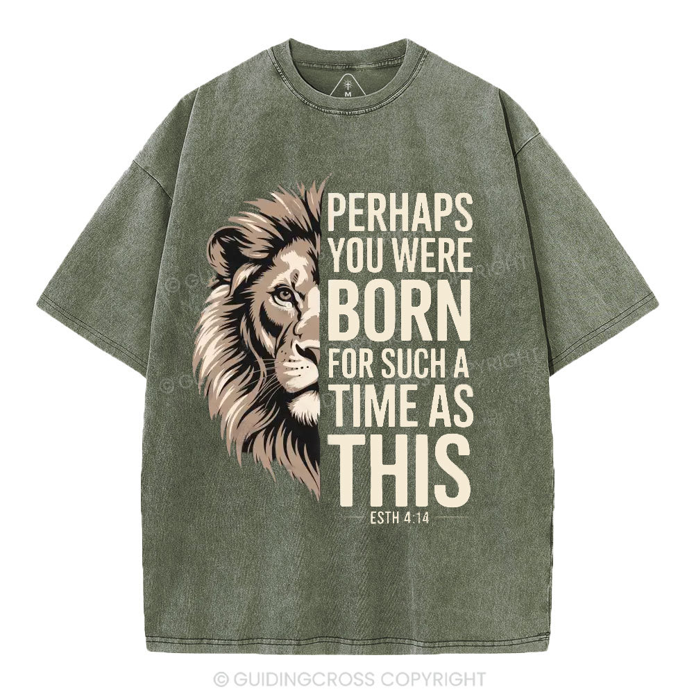 Perhaps You Were Born For Such A Time As This Christian Washed T-Shirt