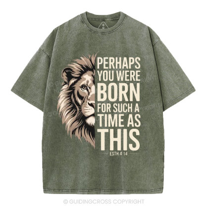 Perhaps You Were Born For Such A Time As This Christian Washed T-Shirt