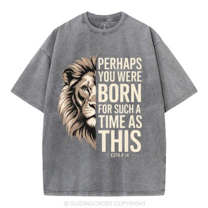 Perhaps You Were Born For Such A Time As This Christian Washed T-Shirt