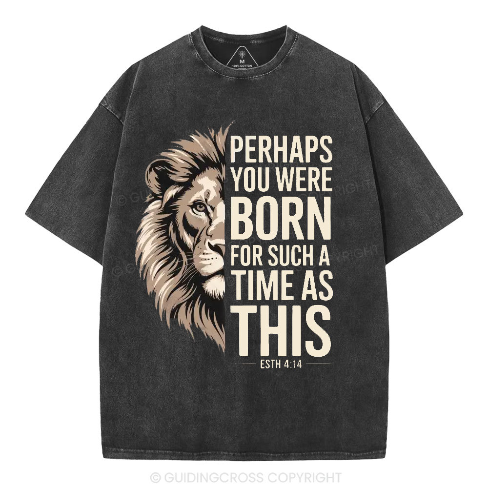Perhaps You Were Born For Such A Time As This Christian Washed T-Shirt