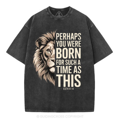 Perhaps You Were Born For Such A Time As This Christian Washed T-Shirt