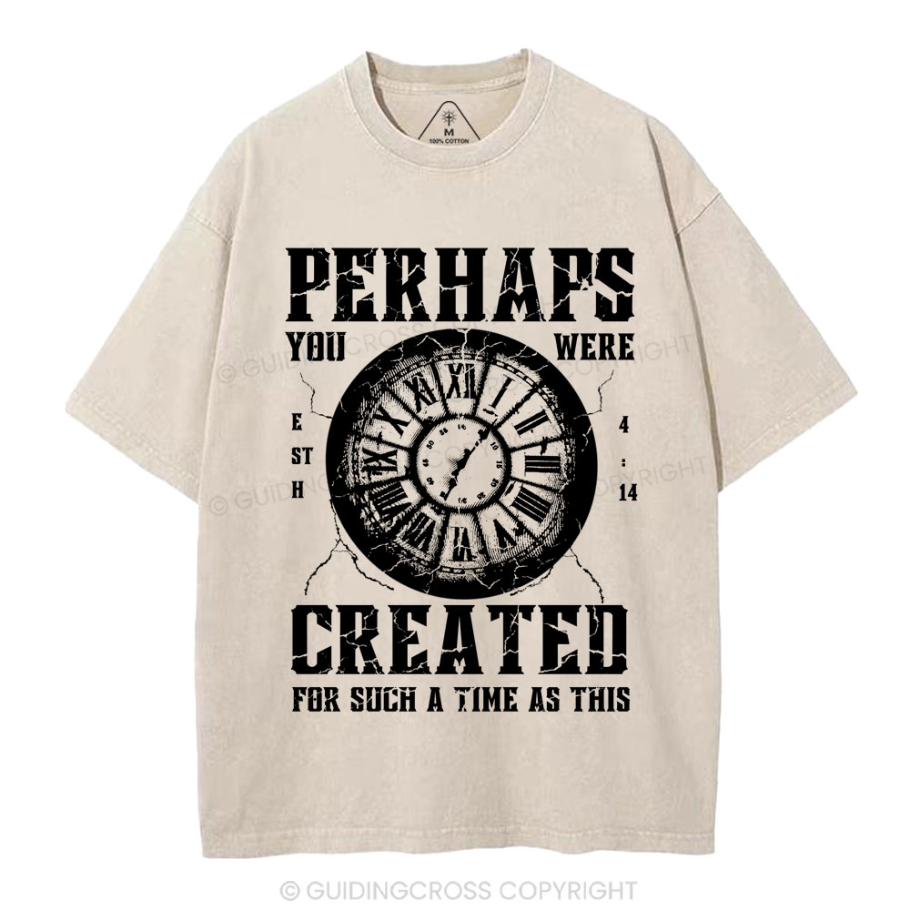 Perhaps You Were Created Christian Washed T-Shirt