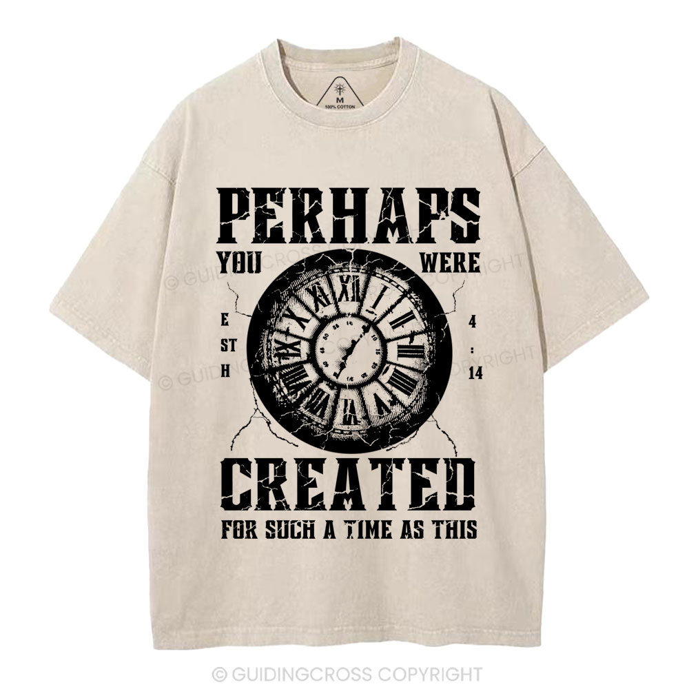 Perhaps You Were Created Christian Washed T-Shirt