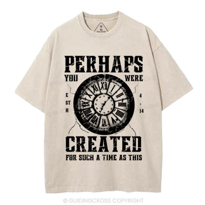 Perhaps You Were Created Christian Washed T-Shirt