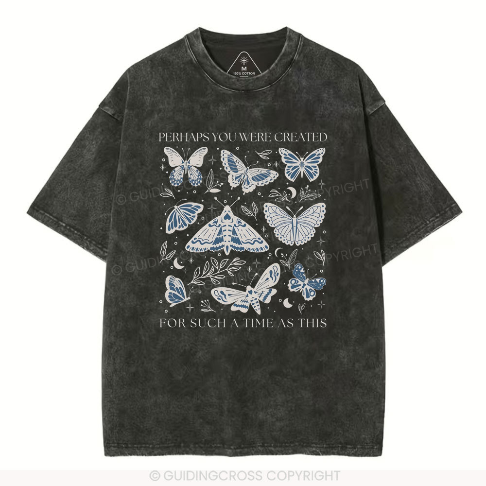 Perhaps You Were Created Christian Washed T-Shirt