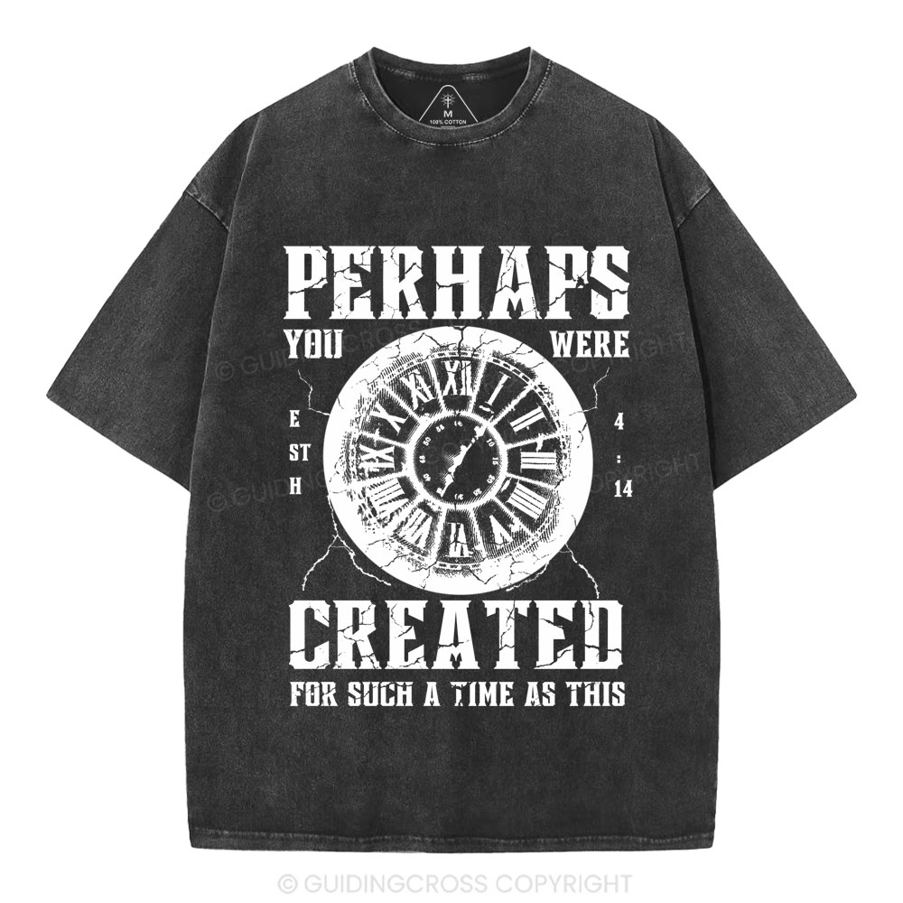 Perhaps You Were Created Christian Washed T-Shirt
