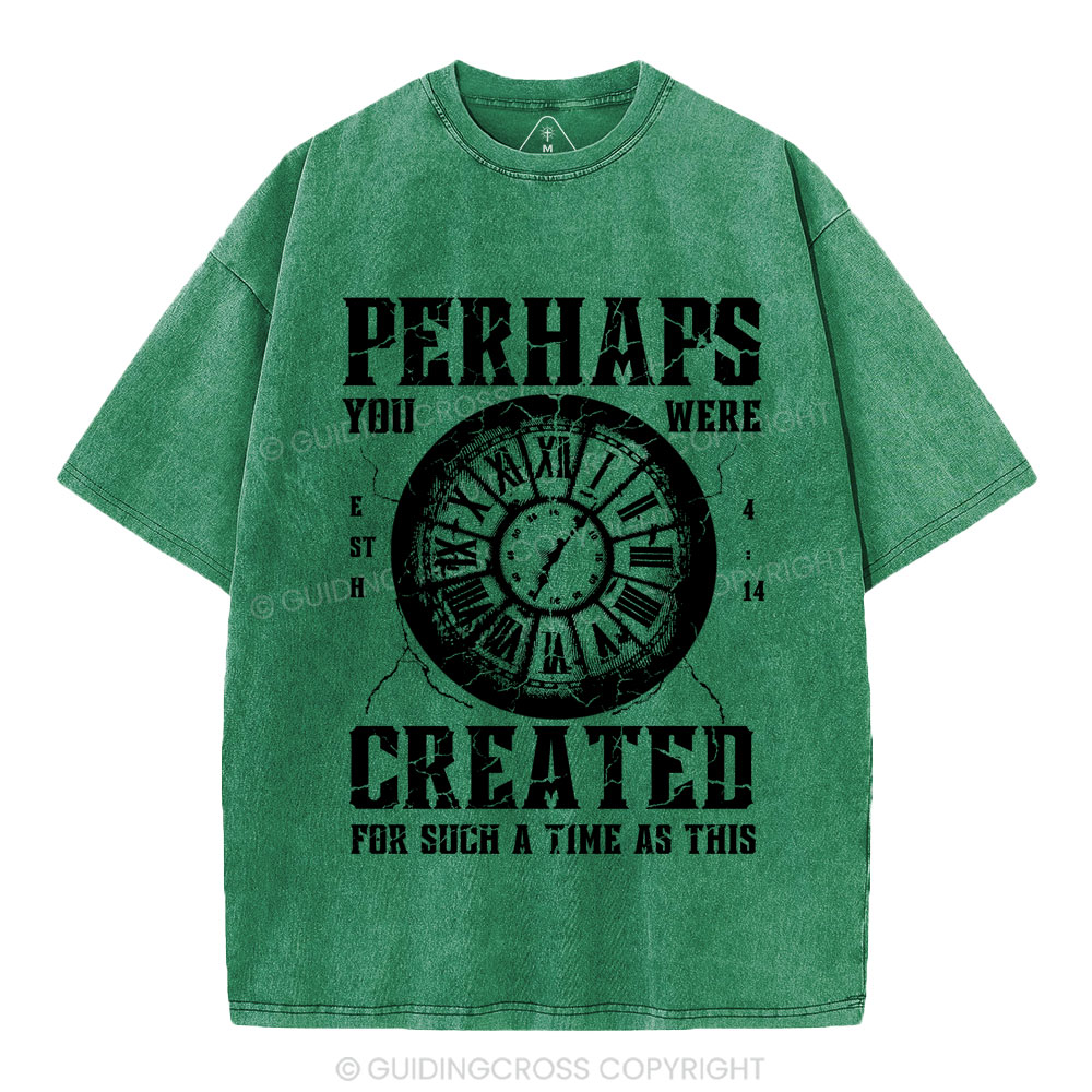 Perhaps You Were Created Christian Washed T-Shirt