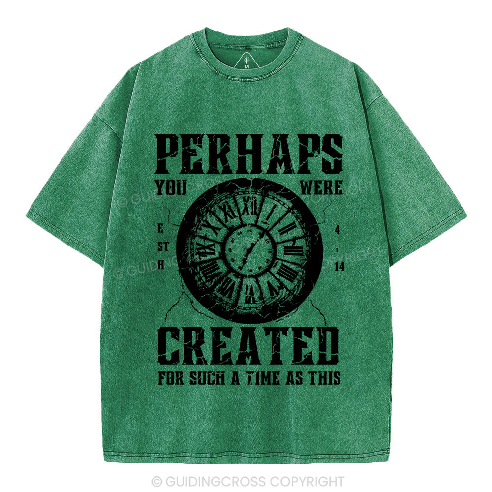 Perhaps You Were Created Christian Washed T-Shirt