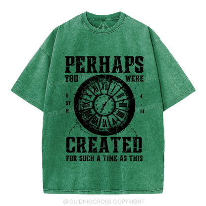 Perhaps You Were Created Christian Washed T-Shirt