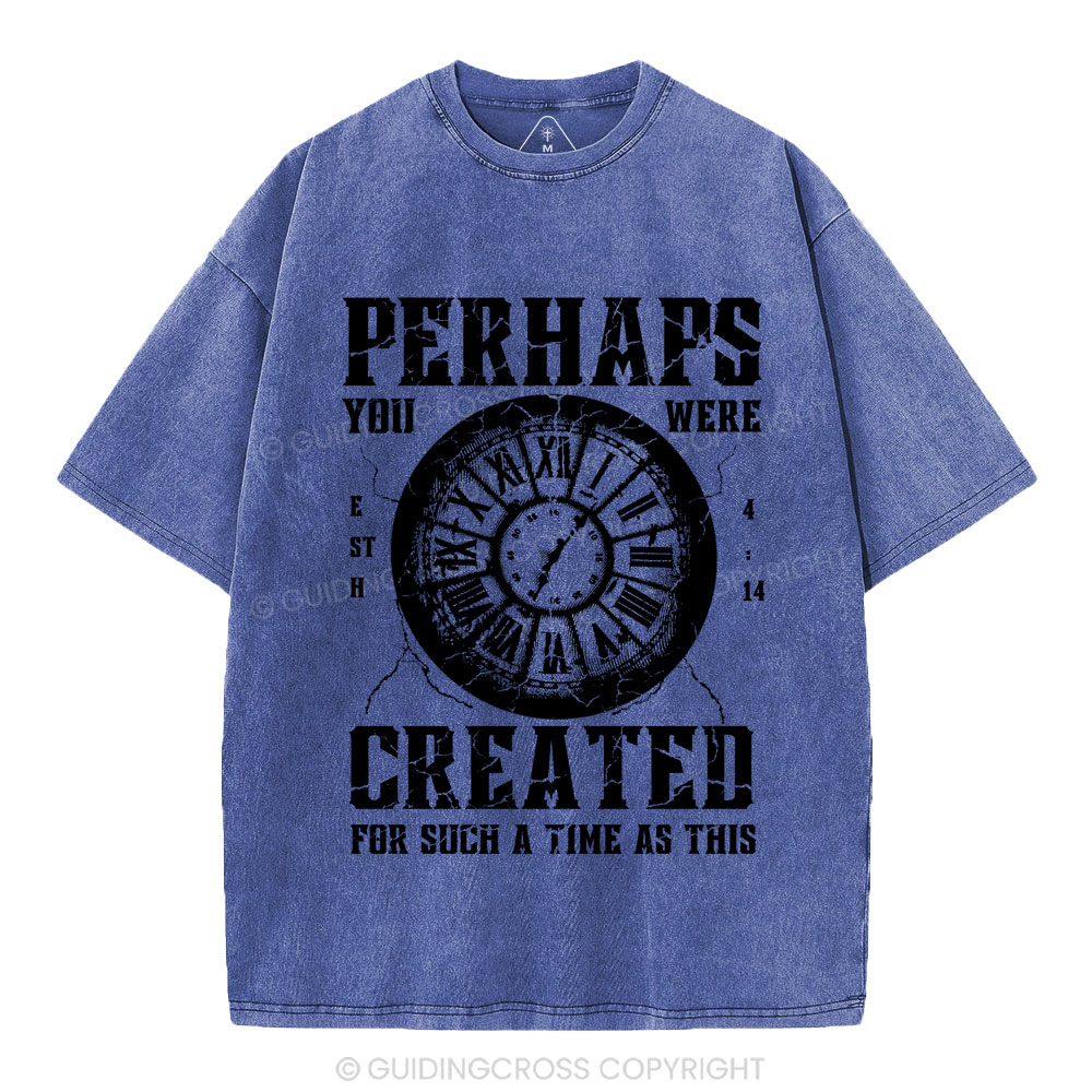 Perhaps You Were Created Christian Washed T-Shirt