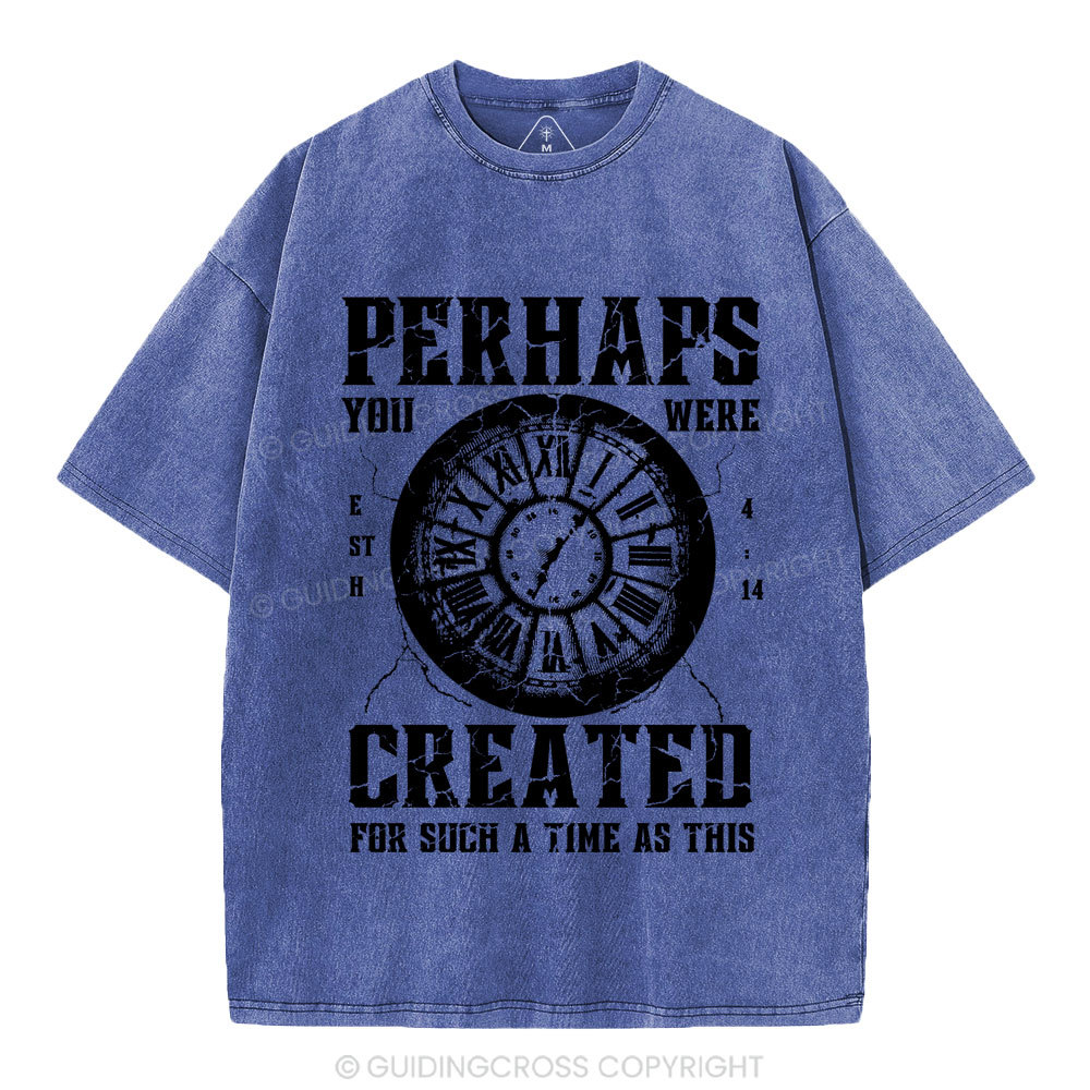 Perhaps You Were Created Christian Washed T-Shirt