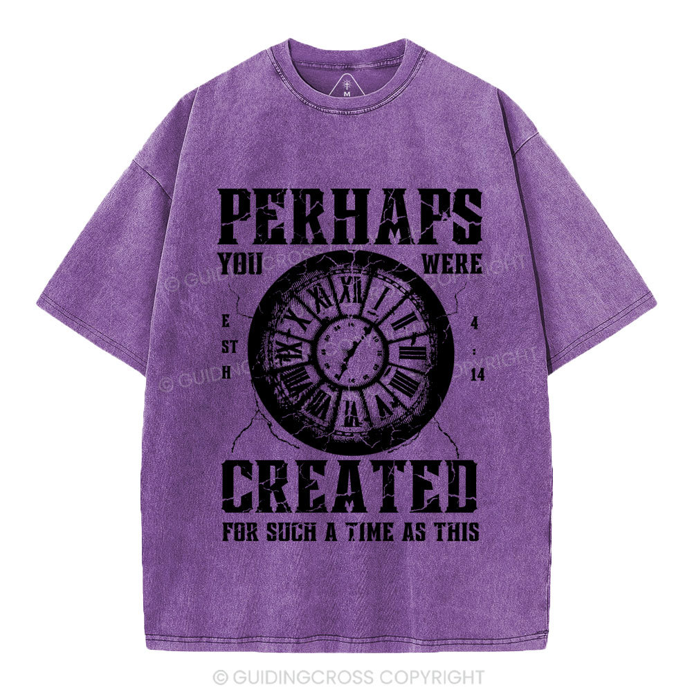 Perhaps You Were Created Christian Washed T-Shirt