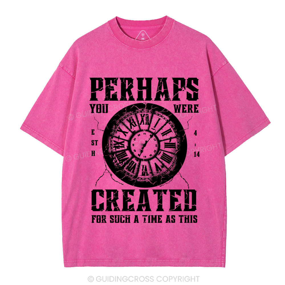 Perhaps You Were Created Christian Washed T-Shirt