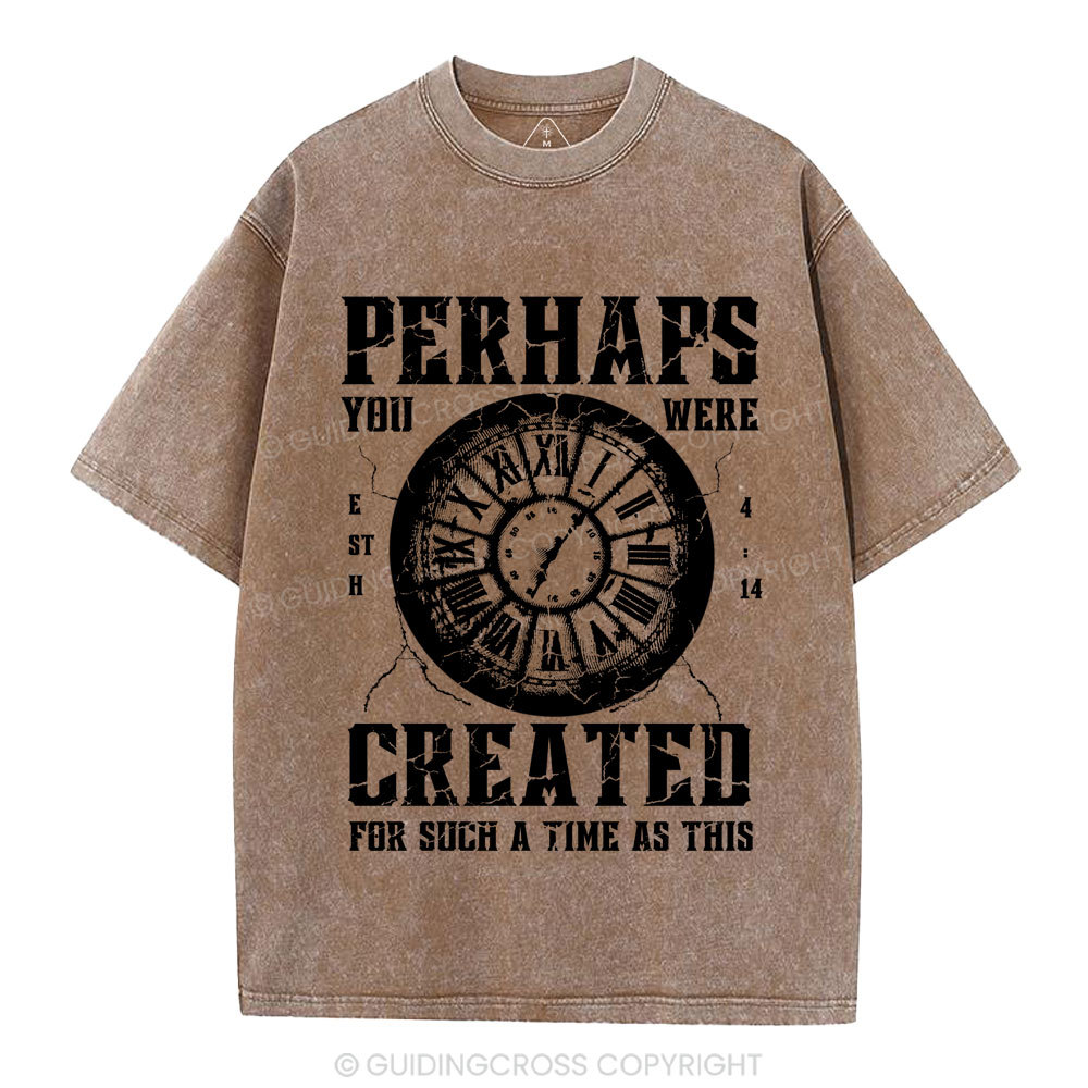 Perhaps You Were Created Christian Washed T-Shirt