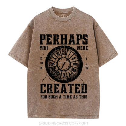 Perhaps You Were Created Christian Washed T-Shirt