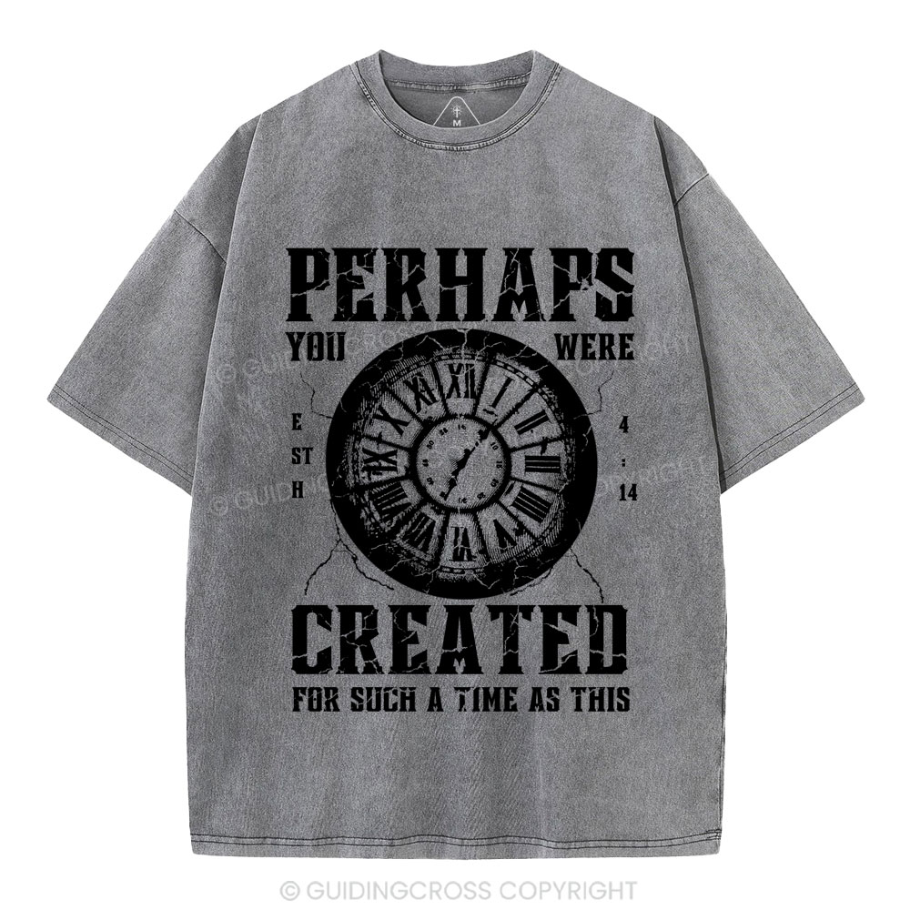 Perhaps You Were Created Christian Washed T-Shirt