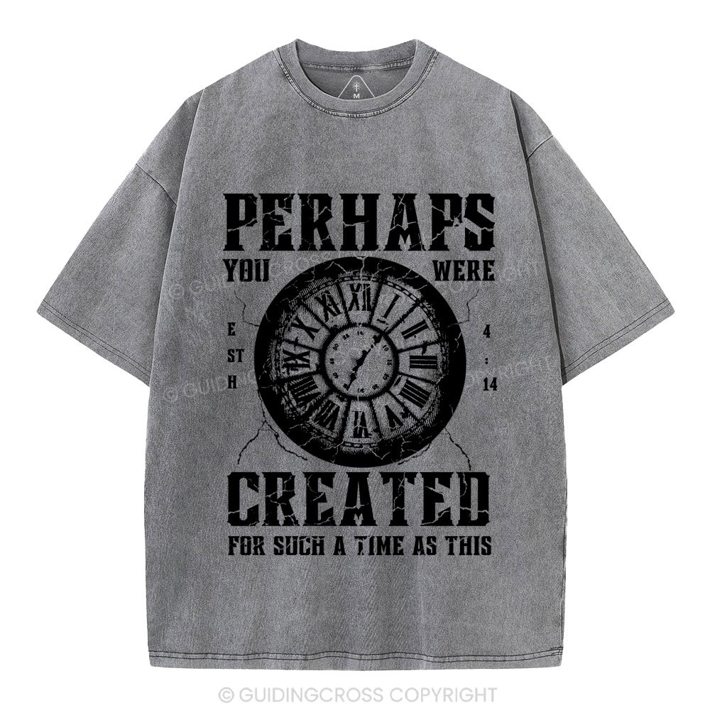 Perhaps You Were Created Christian Washed T-Shirt