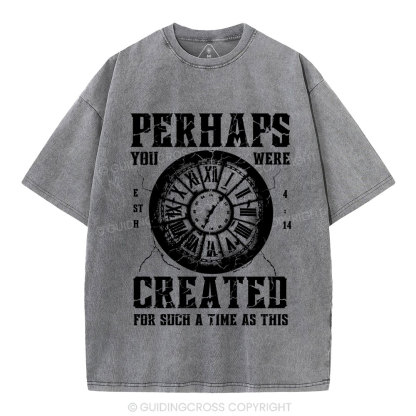 Perhaps You Were Created Christian Washed T-Shirt