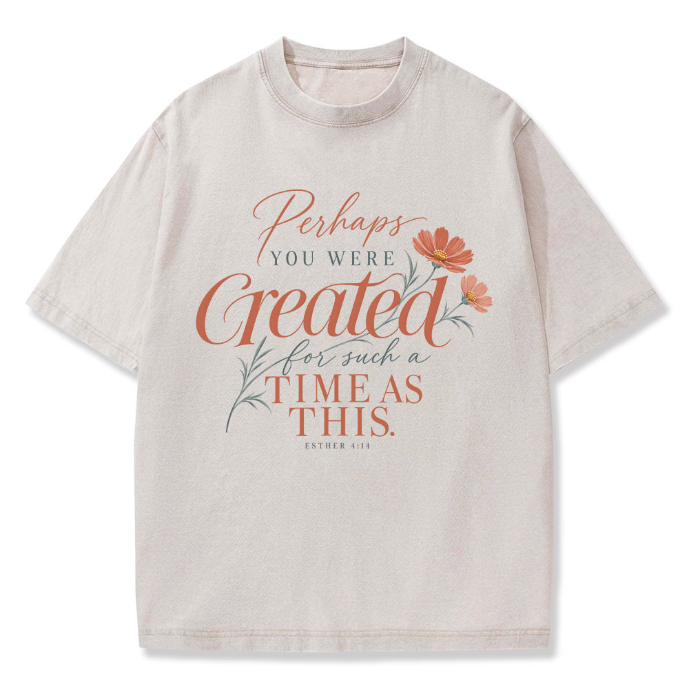 Perhaps You Were Created Such A Time As This Christian Washed T-Shirt