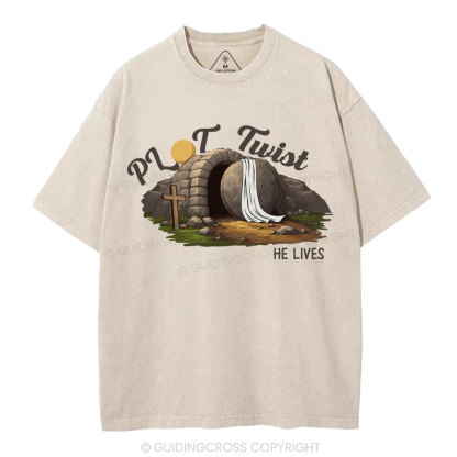 Plot Twist Christian Washed T-Shirt