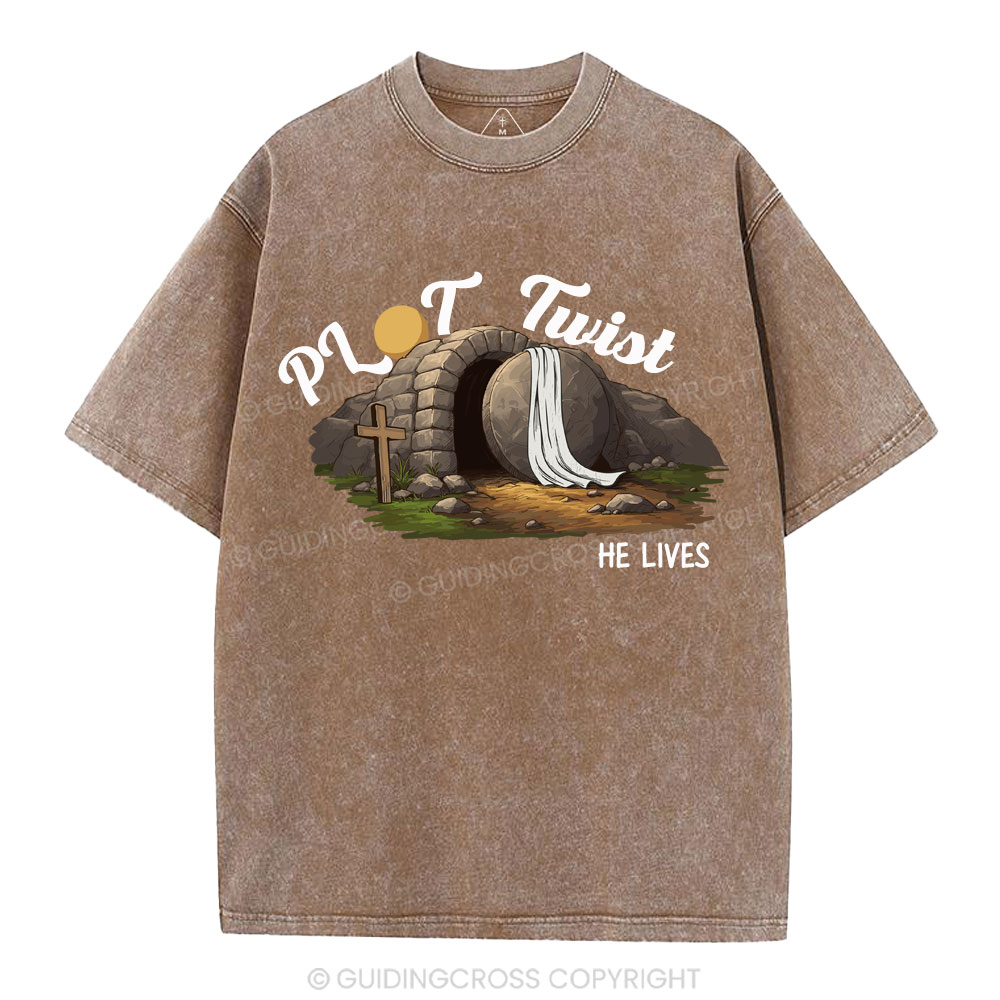 Plot Twist Christian Washed T-Shirt