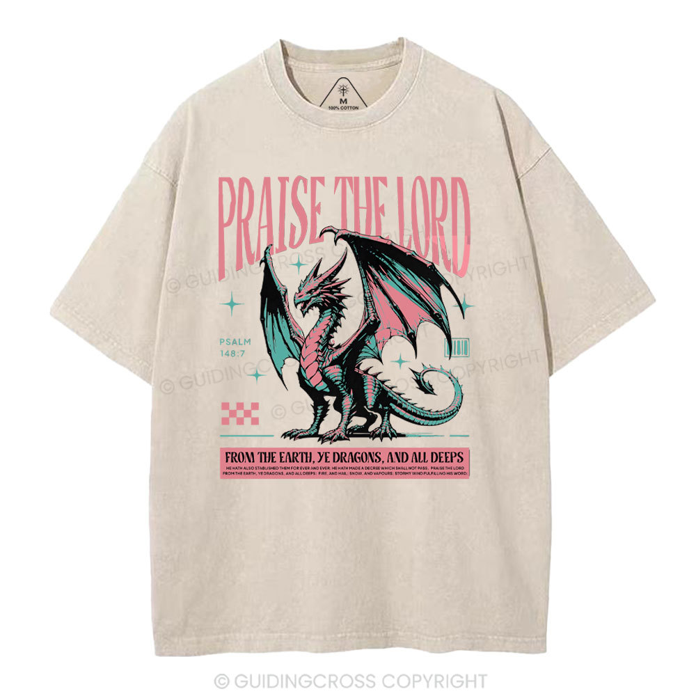 Praise The Lord Christian Washed T-Shirt