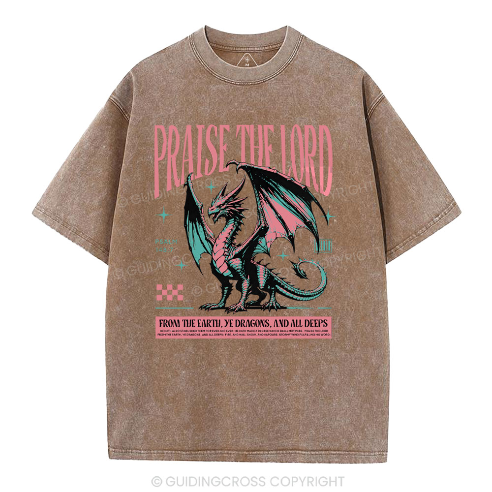 Praise The Lord Christian Washed T-Shirt