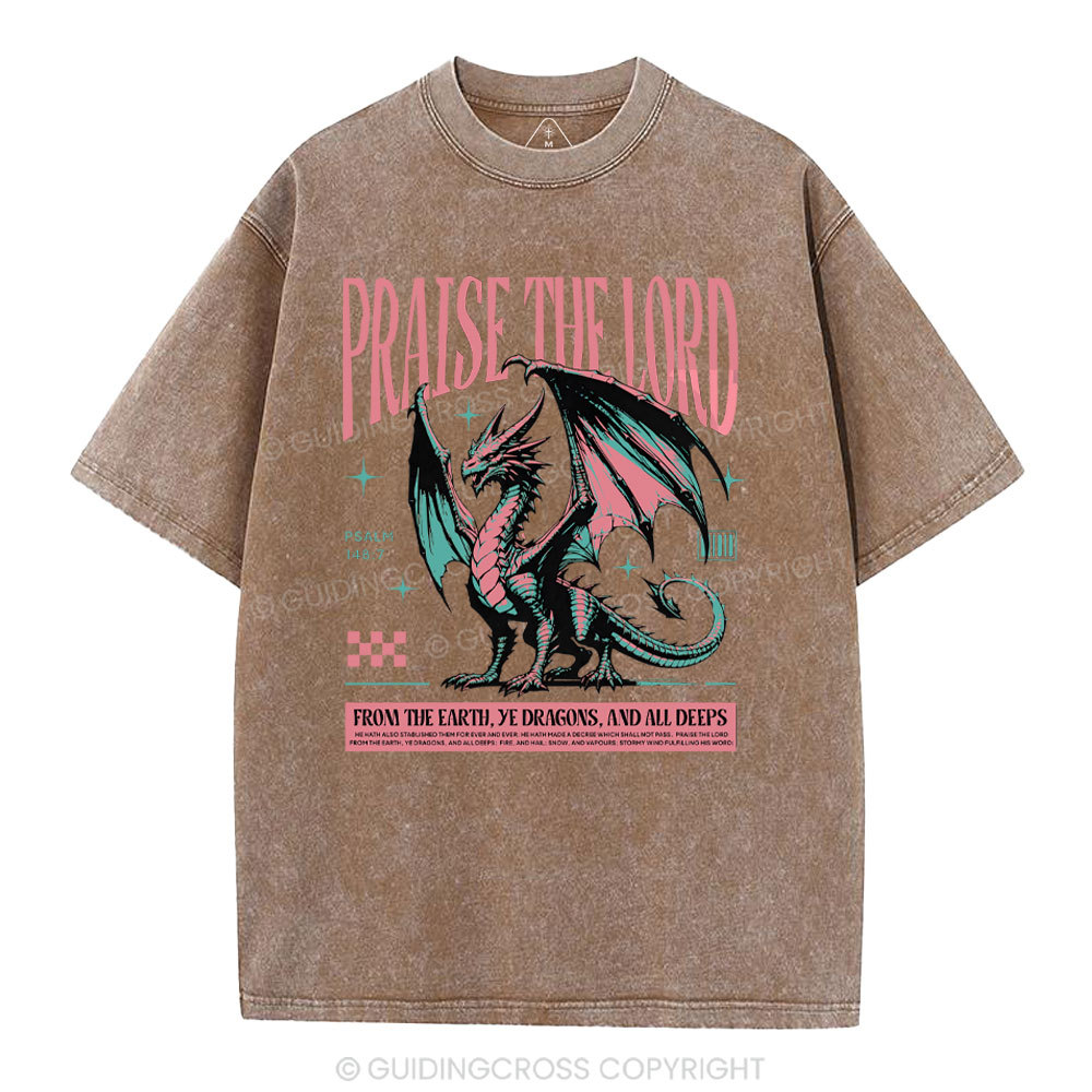 Praise The Lord Christian Washed T-Shirt