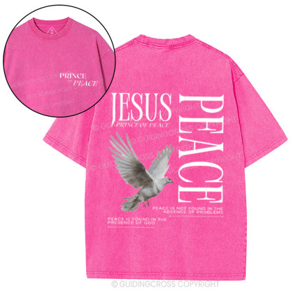Prince Of Peace Chrsitian Washed T-Shirt