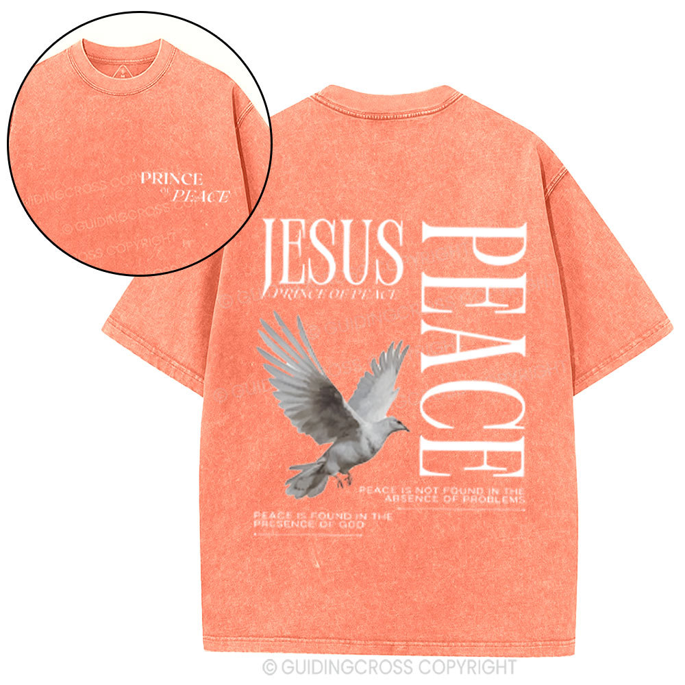 Prince Of Peace Chrsitian Washed T-Shirt