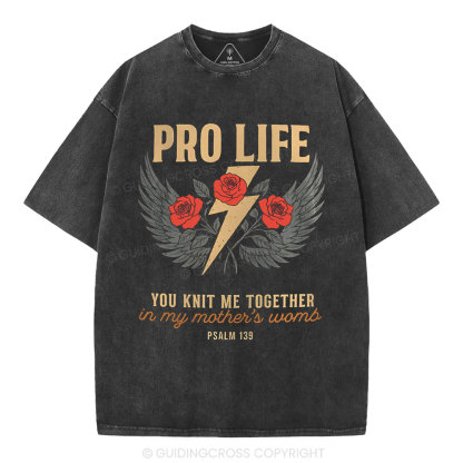 Pro Life Christian Washed T-Shirt