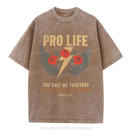 Pro Life Christian Washed T-Shirt