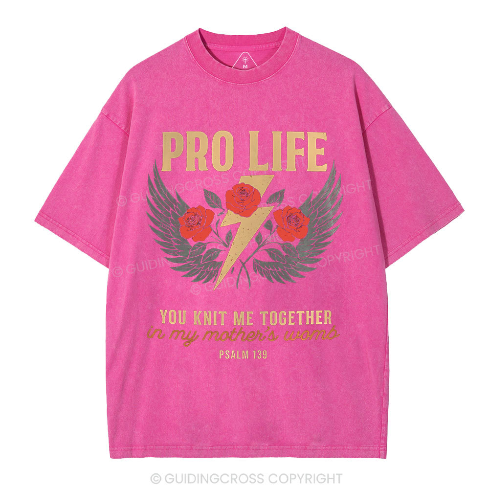 Pro Life Christian Washed T-Shirt