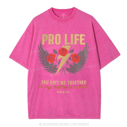 Pro Life Christian Washed T-Shirt