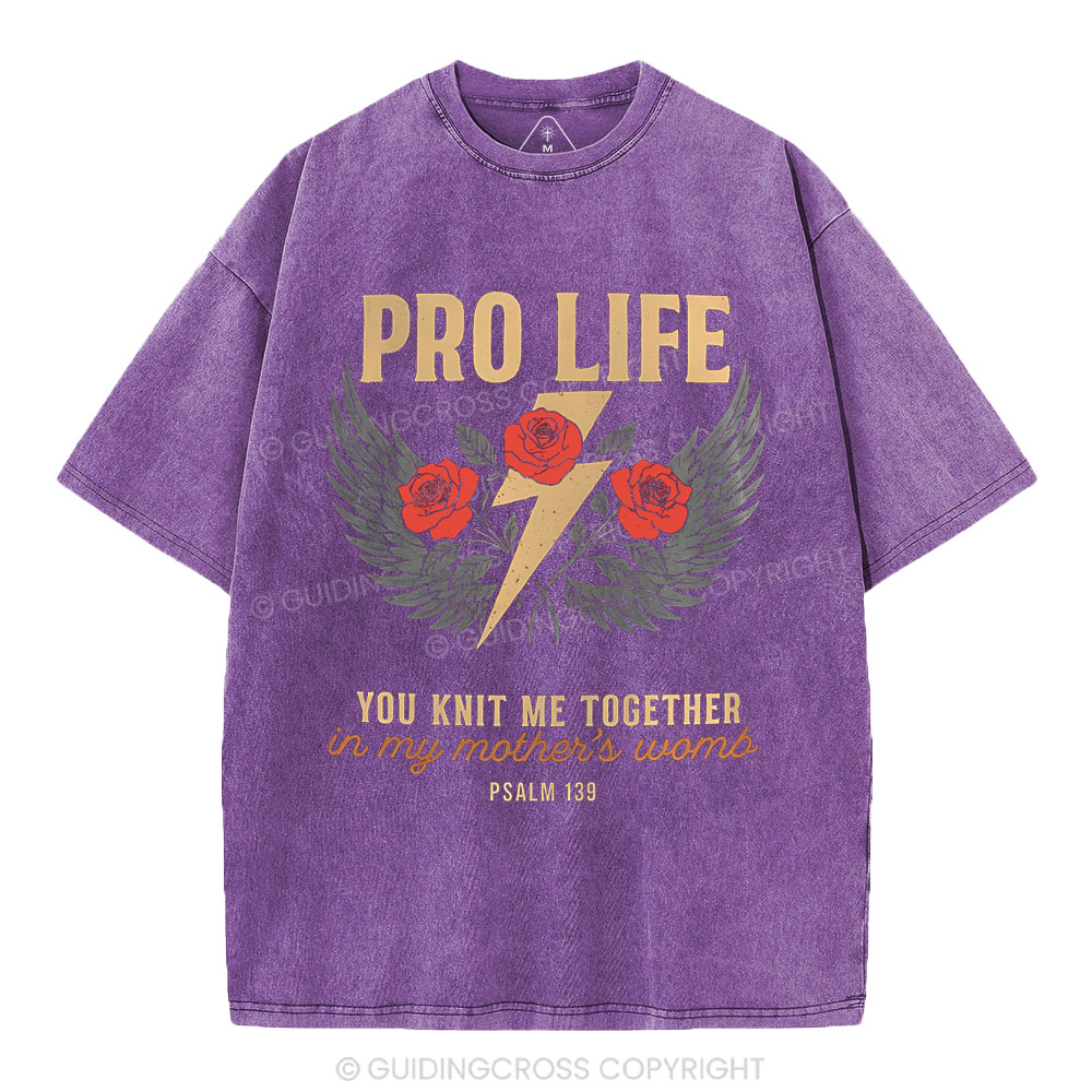 Pro Life Christian Washed T-Shirt