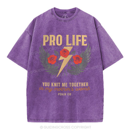 Pro Life Christian Washed T-Shirt