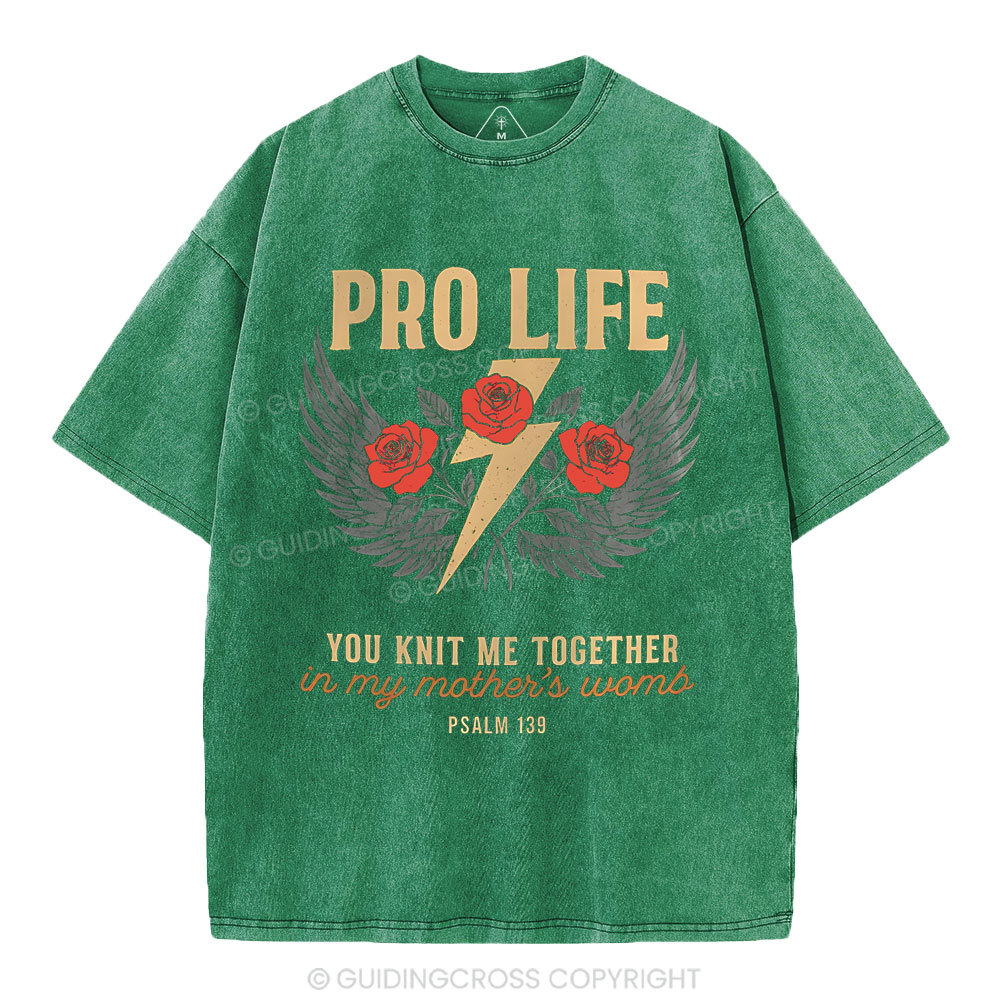Pro Life Christian Washed T-Shirt