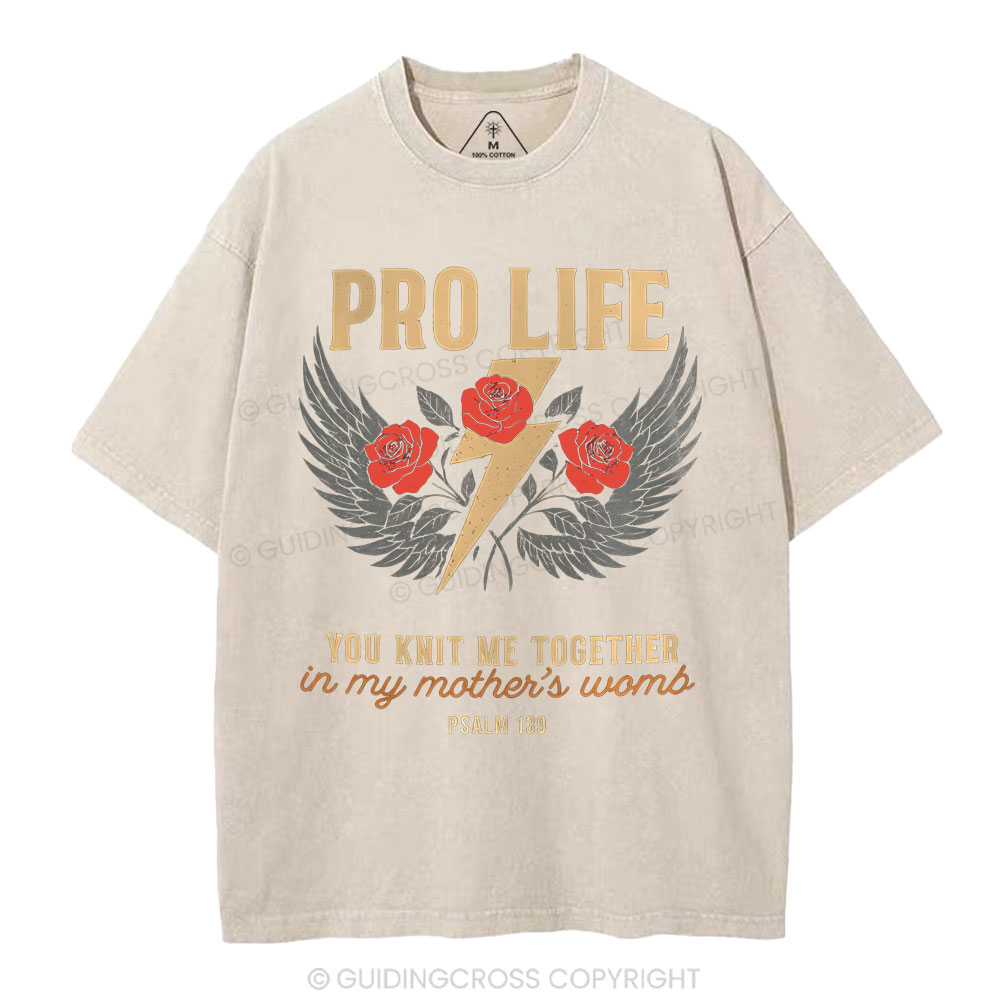 Pro Life Christian Washed T-Shirt