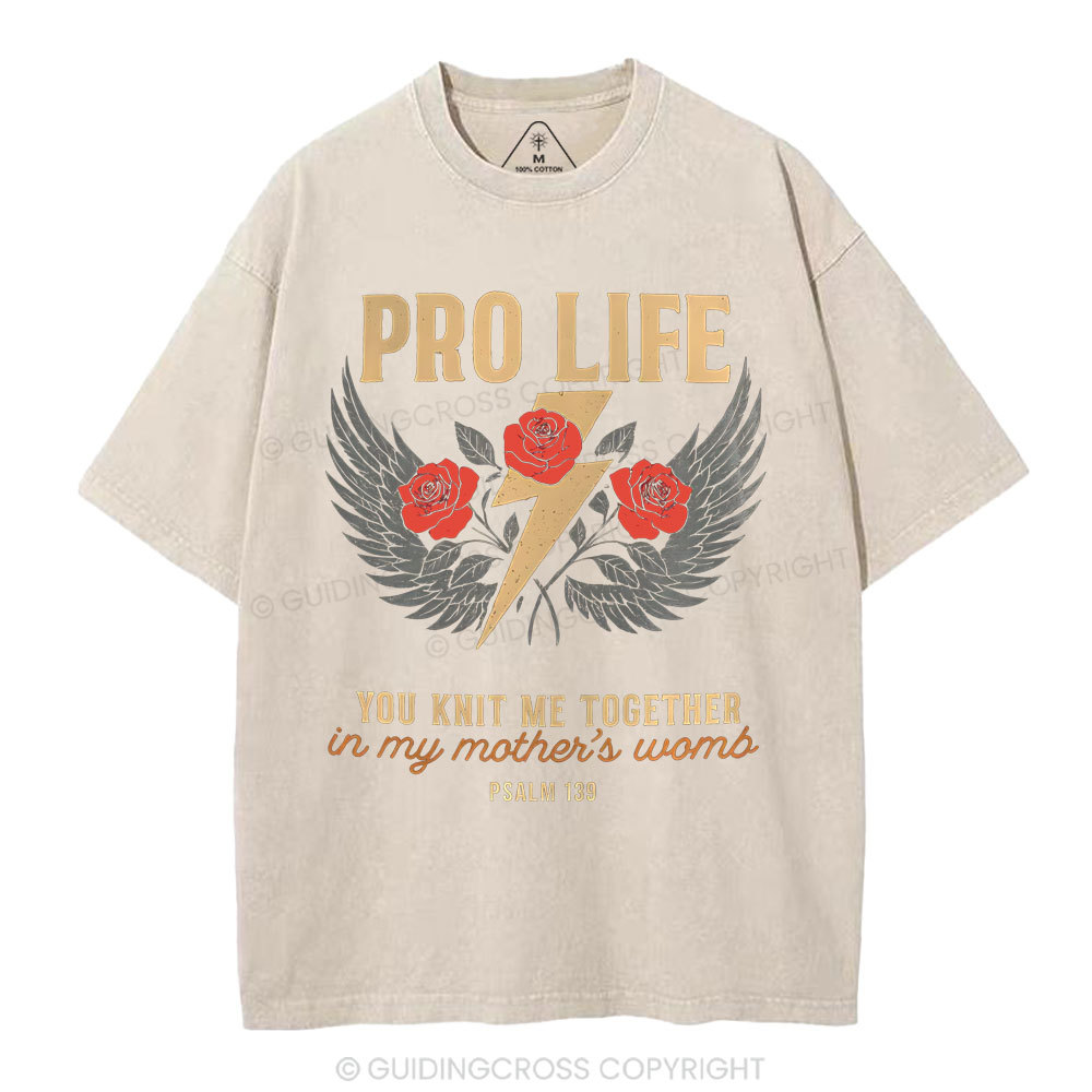 Pro Life Christian Washed T-Shirt