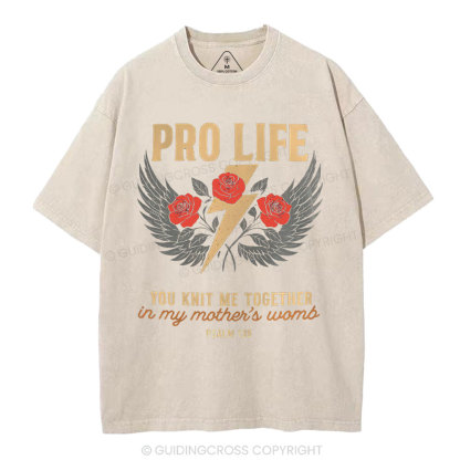 Pro Life Christian Washed T-Shirt