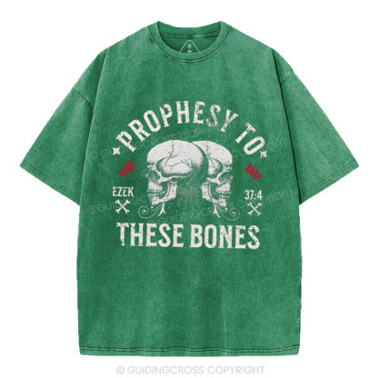 Prophesy To These Bones Christian Washed T-Shirt