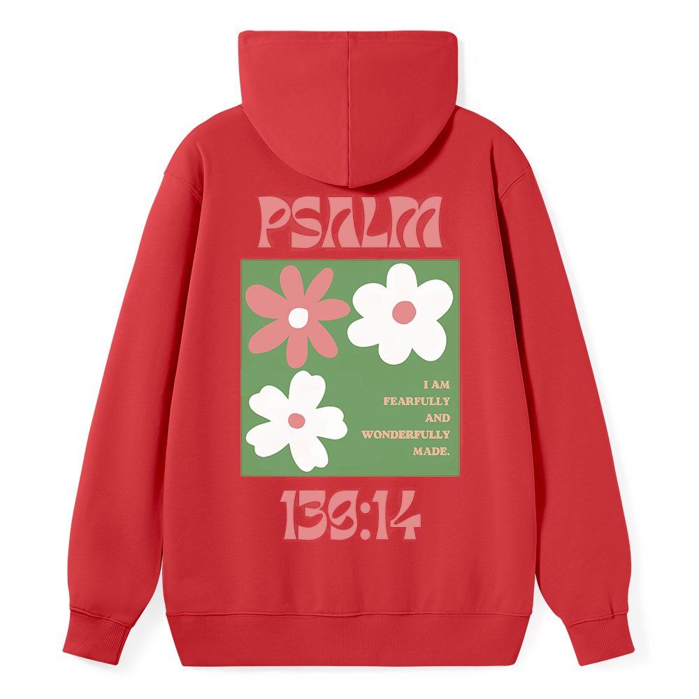 Psalm Classic Christian Hoodie