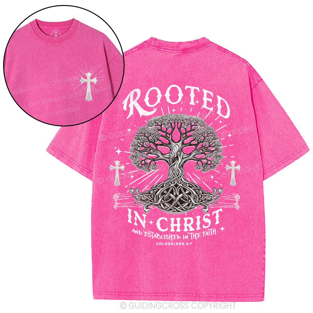 Rooted In Christ And Established In The Faith Christian Washed T-Shirt