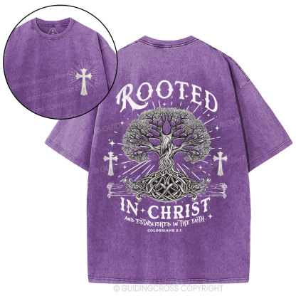 Rooted In Christ And Established In The Faith Christian Washed T-Shirt