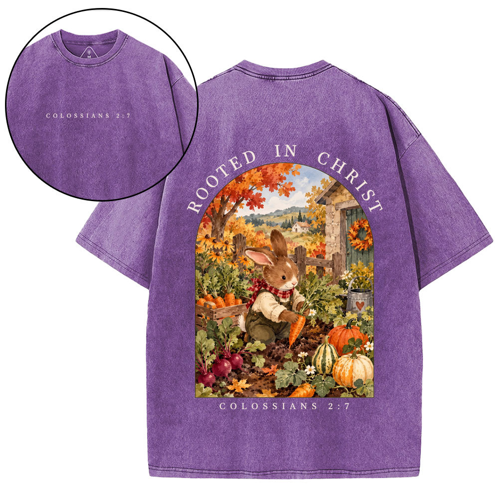 Rooted In Christ Christian Washed T-Shirt