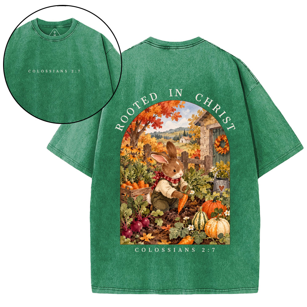 Rooted In Christ Christian Washed T-Shirt